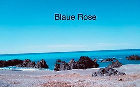 Blaue Rose
